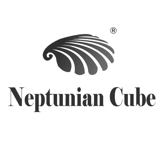 Neptunian Cube logo