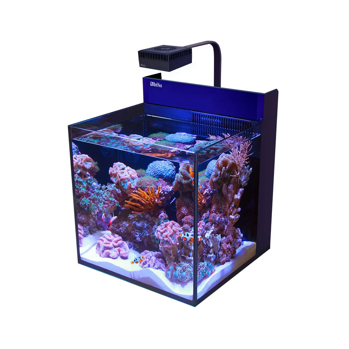 MAX NANO G2 Cube Aquarium (20 Gal) — image 1