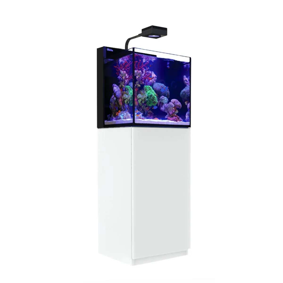 MAX NANO G2 Cube Aquarium (20 Gal) — WHITE