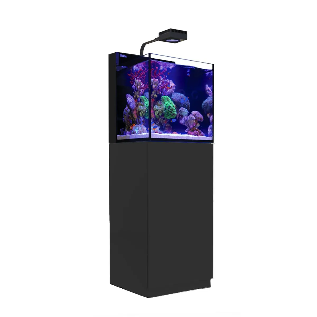 MAX NANO G2 Cube Aquarium (20 Gal) — BLACK