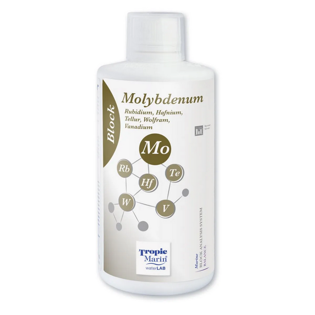 Block Molybdenum - Concentrated Solution (1000 ml) — image 1