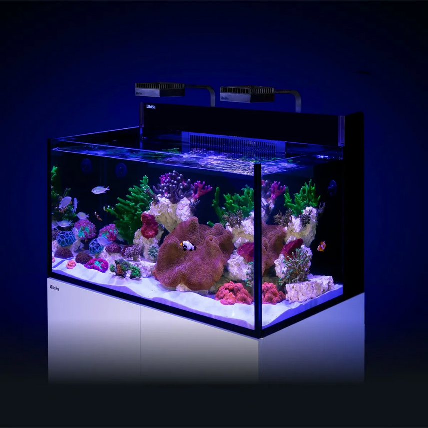MAX NANO G2 XXL Aquarium (53 Gal) — image 1