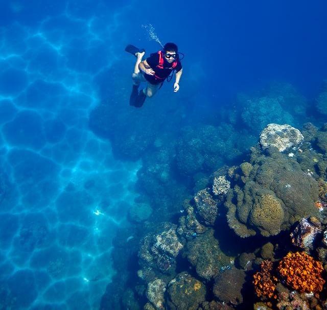 Guardians of the Ocean, Restricted at Home: The Struggle for Reefing Rights in the Maldives