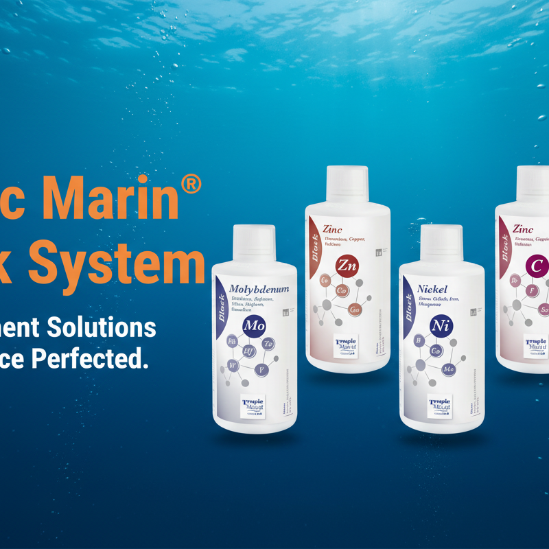 Tropic Marin® Block System