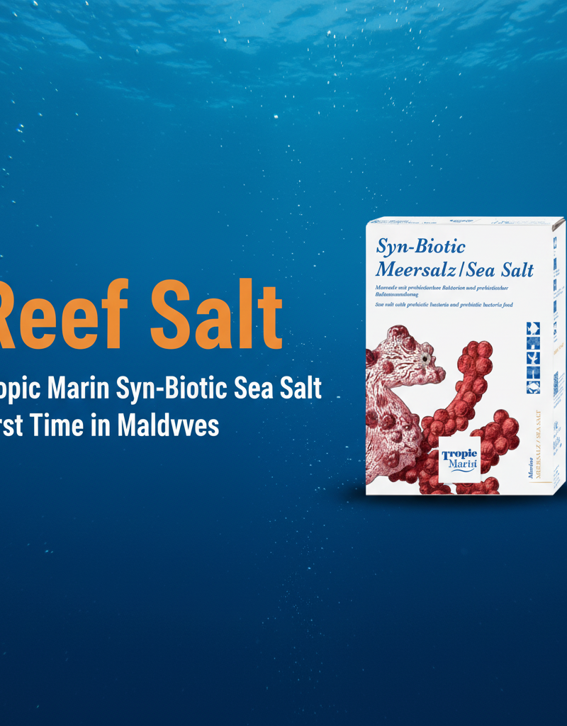 Reef Salt