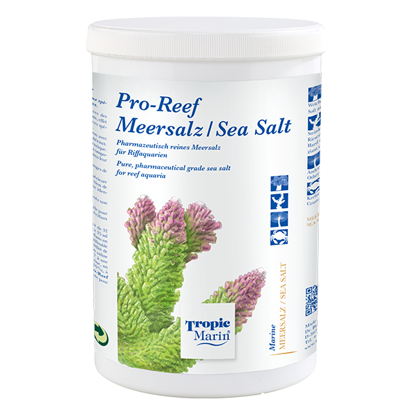 Sea Salt