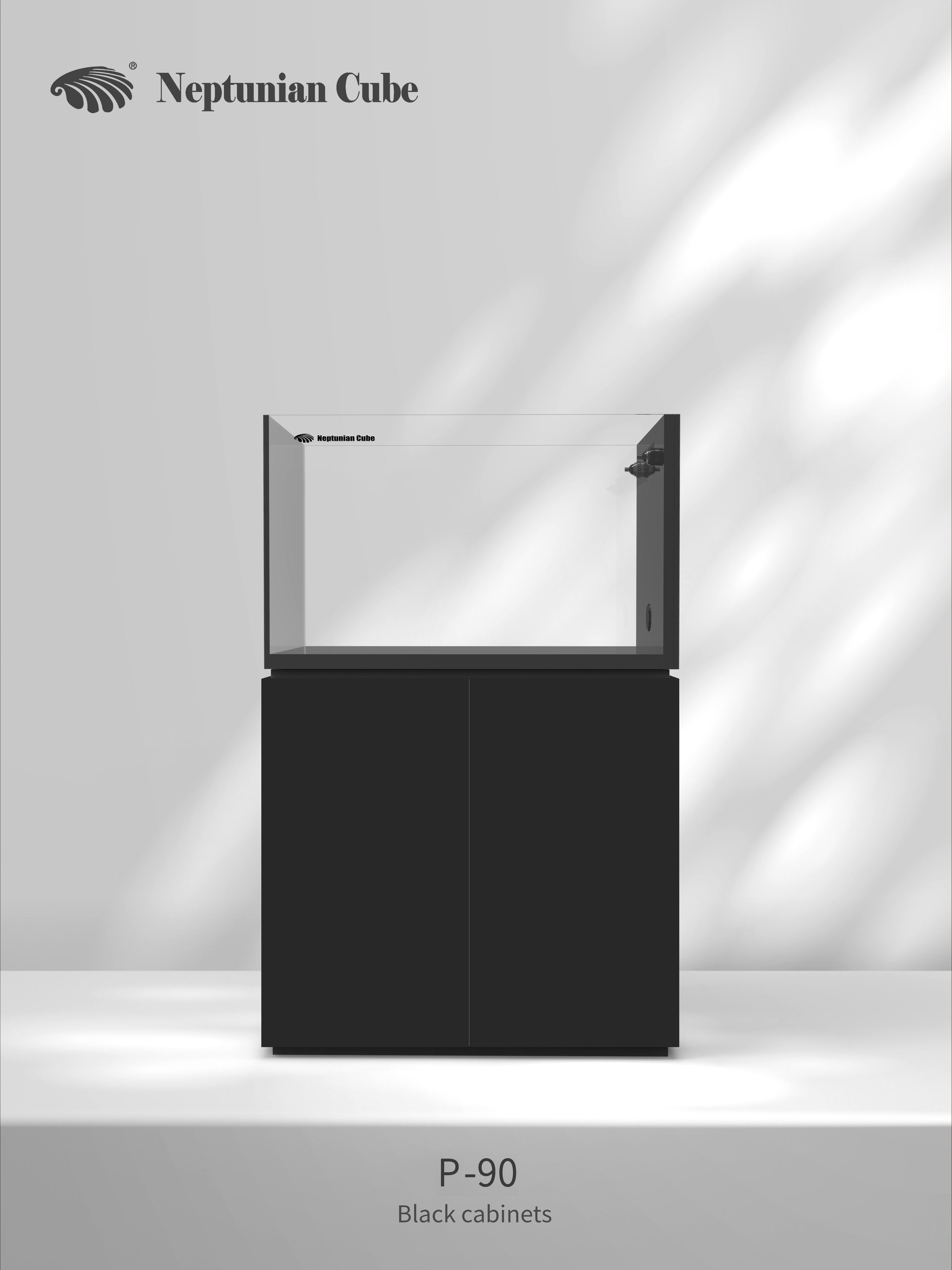 Neptunian Cube Peninsula Series 90