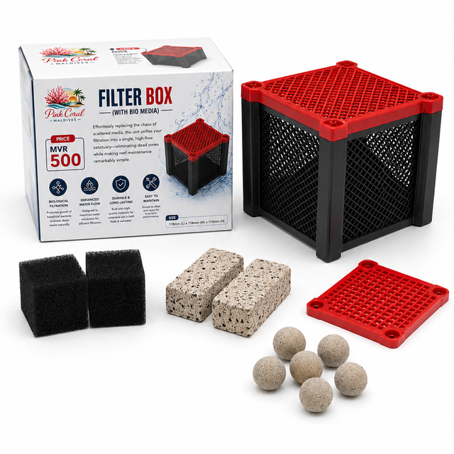 Filter Box